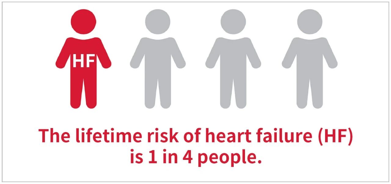 ��Ʒ���� | ��˥���˫���ܡ����۽���˥��׼��������Ǵ�δֹ����